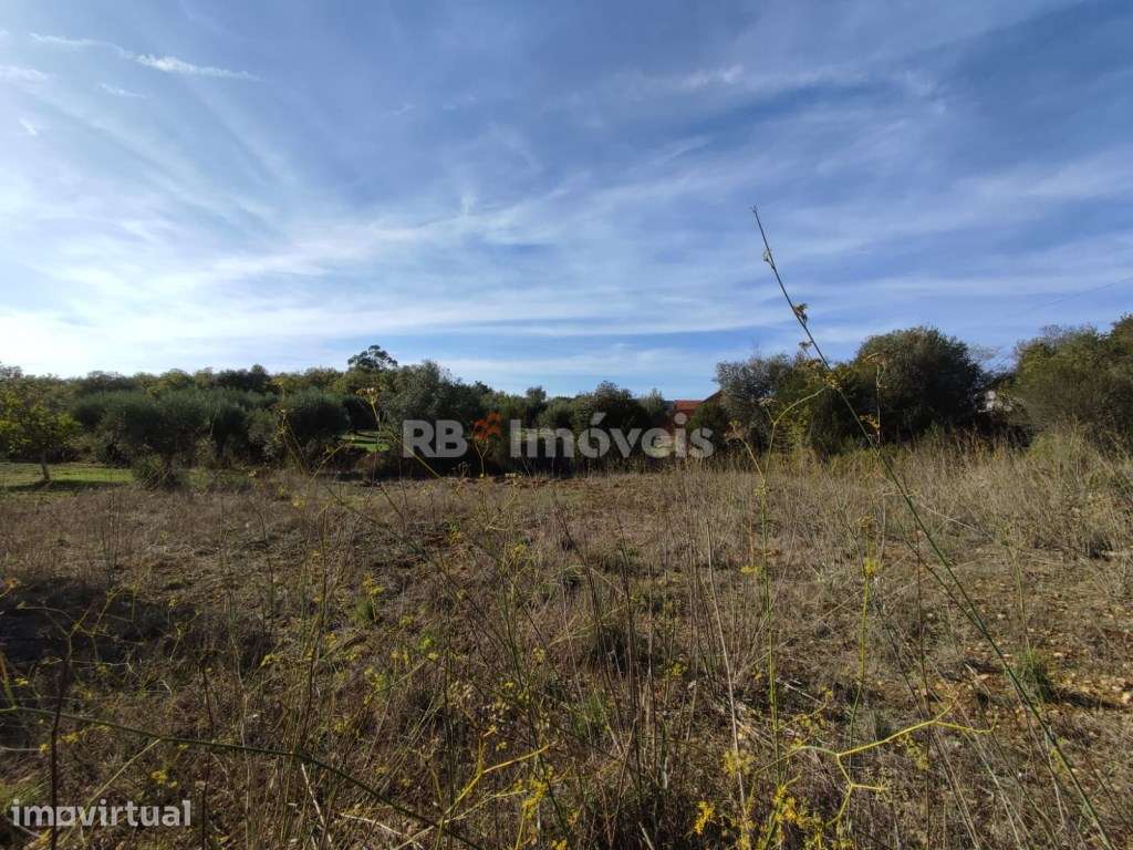 Terreno rústico com 960m² - Vales, Tomar - Grande imagem: 4/18