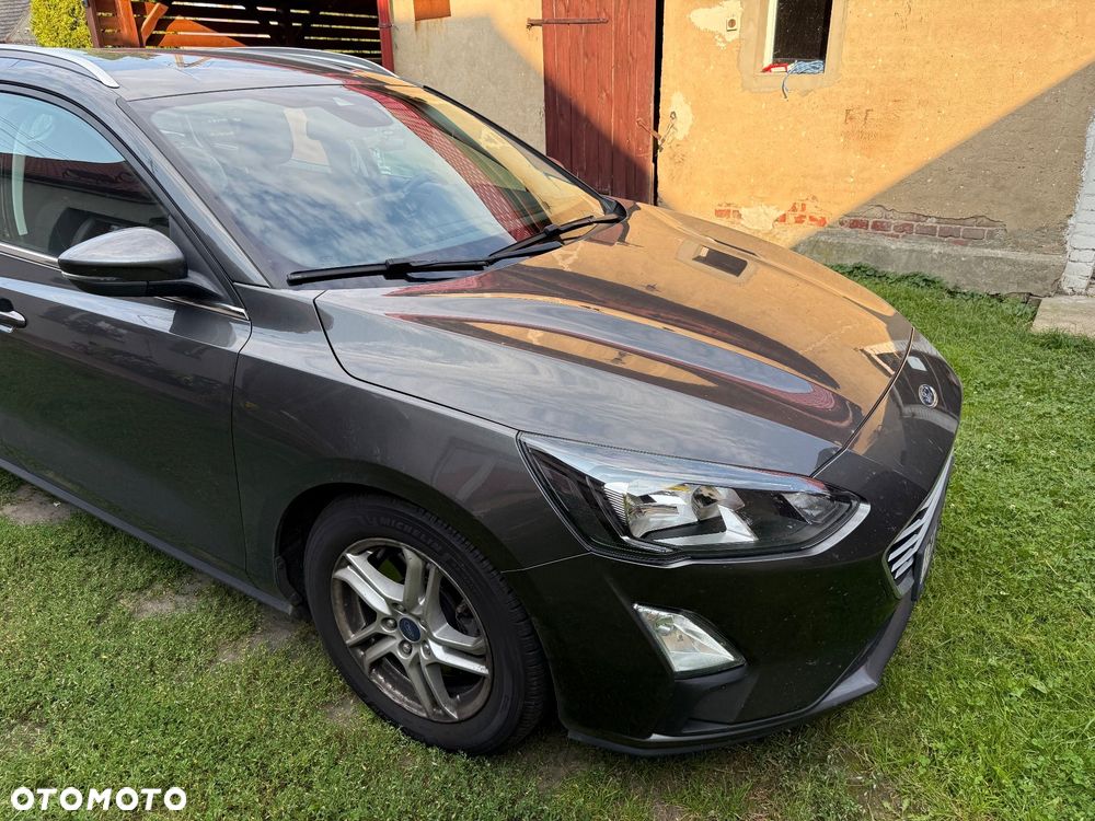 Ford Focus 2020 photo 4