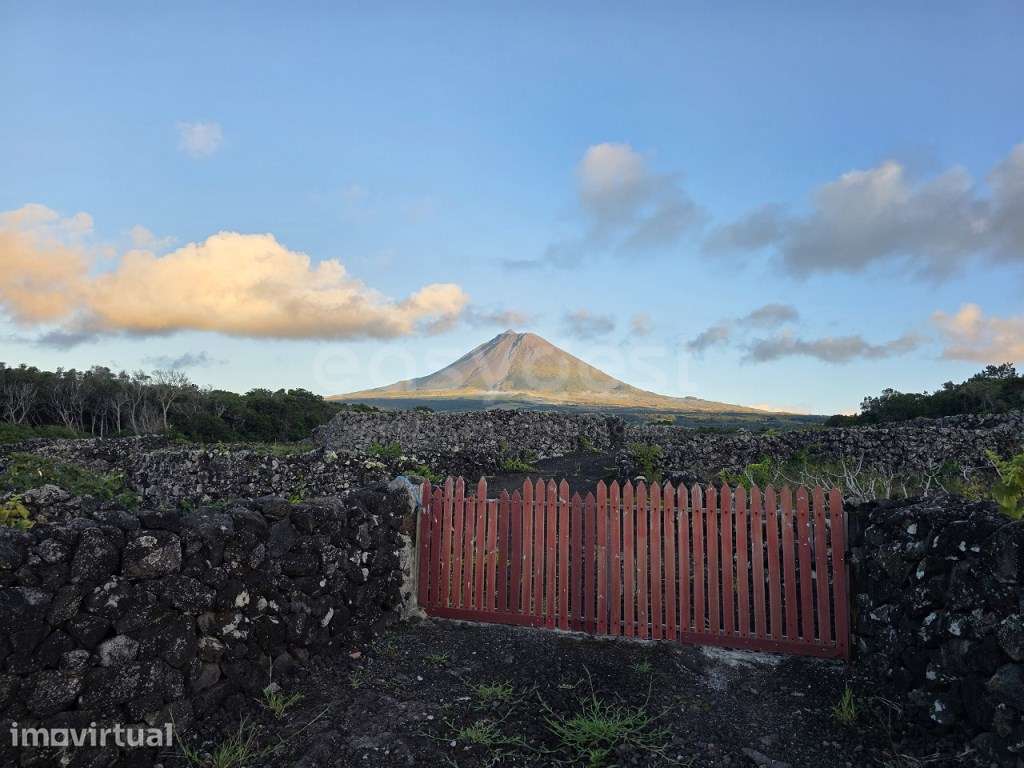 Vinha e Potencial de Construção Bandeiras, Ilha do Pico - Grande imagem: 2/11