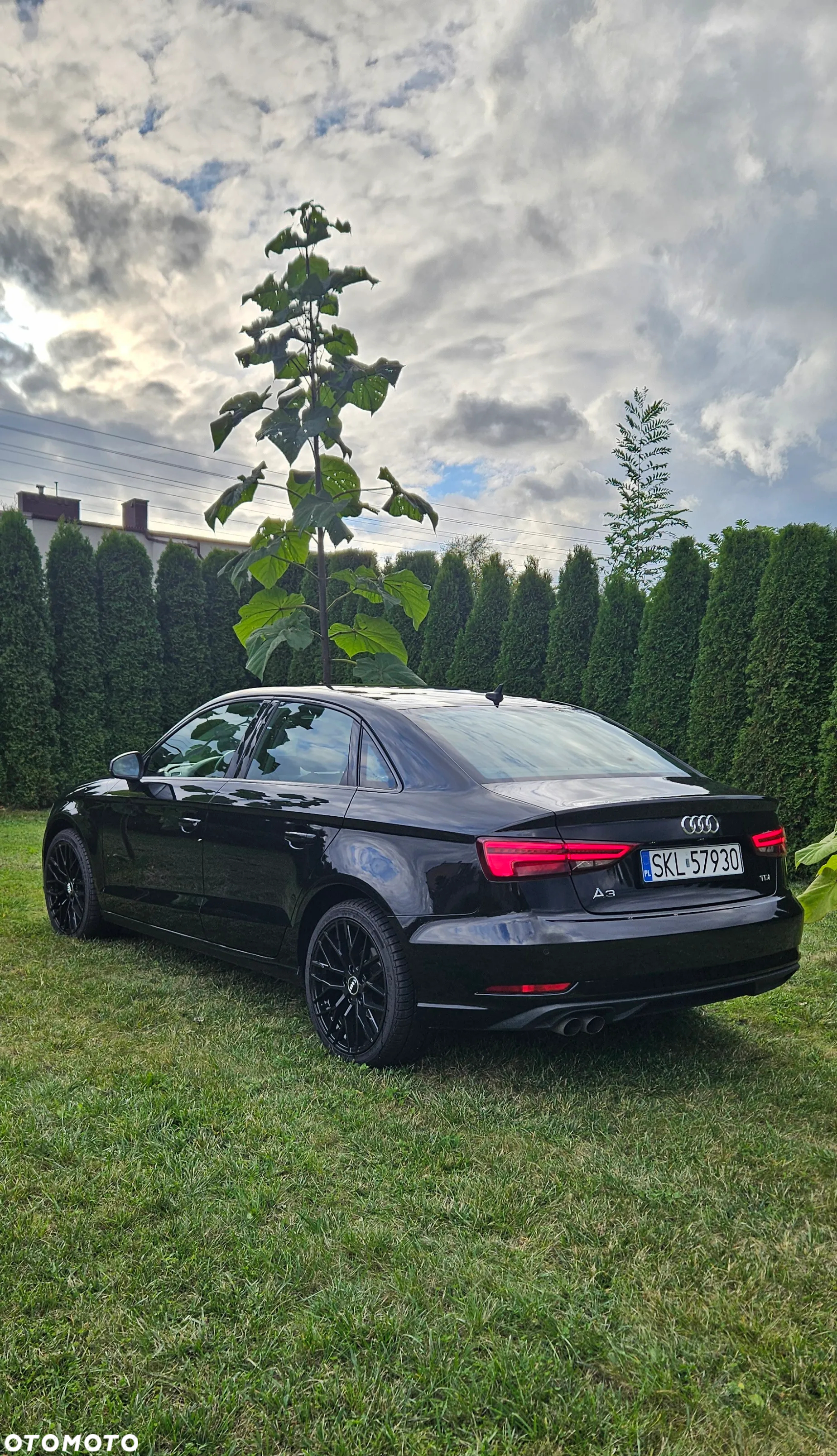 Audi A3 2.0 TDI clean diesel Ambition - 4