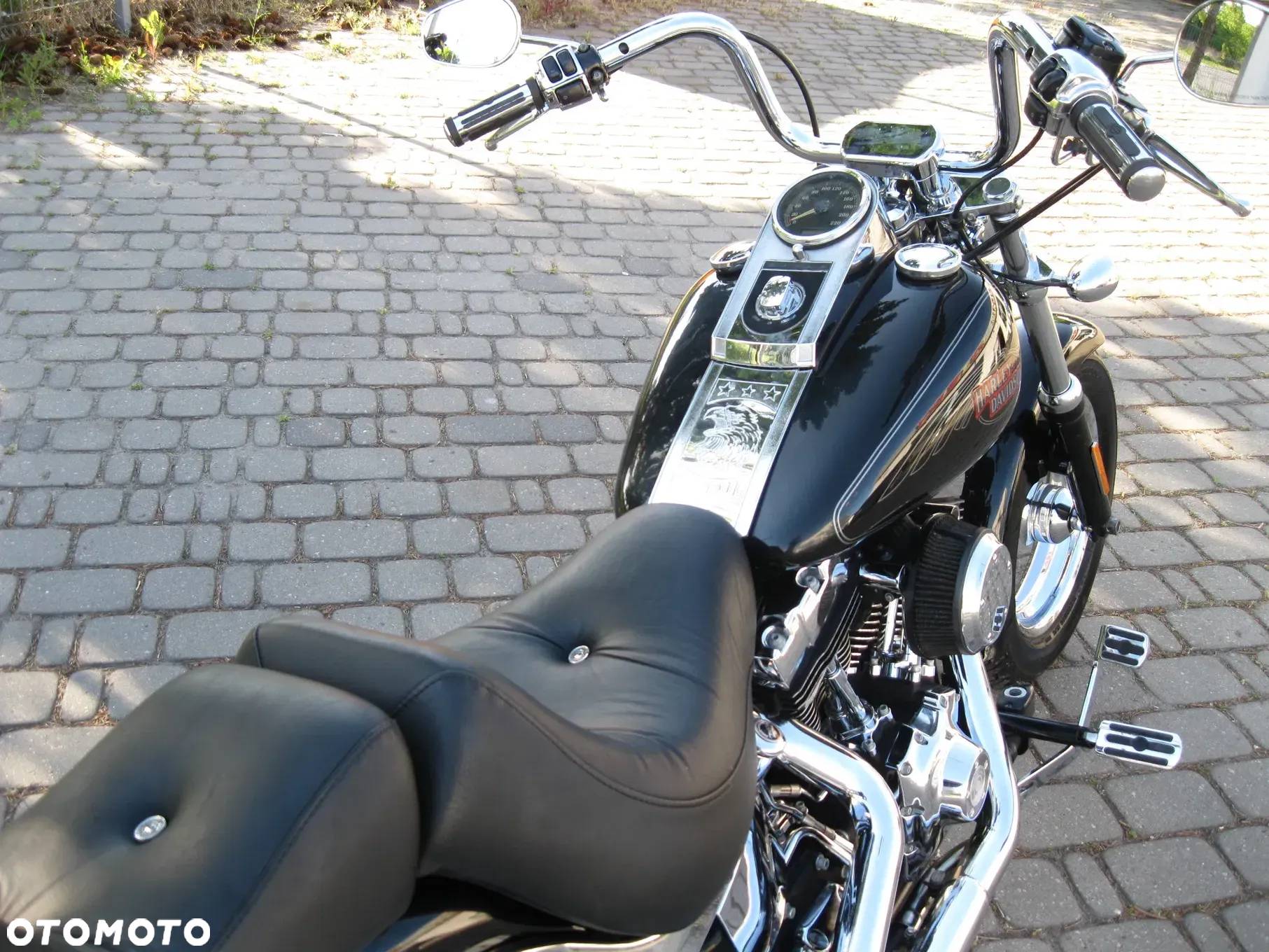 Harley-Davidson Softail Custom - 18