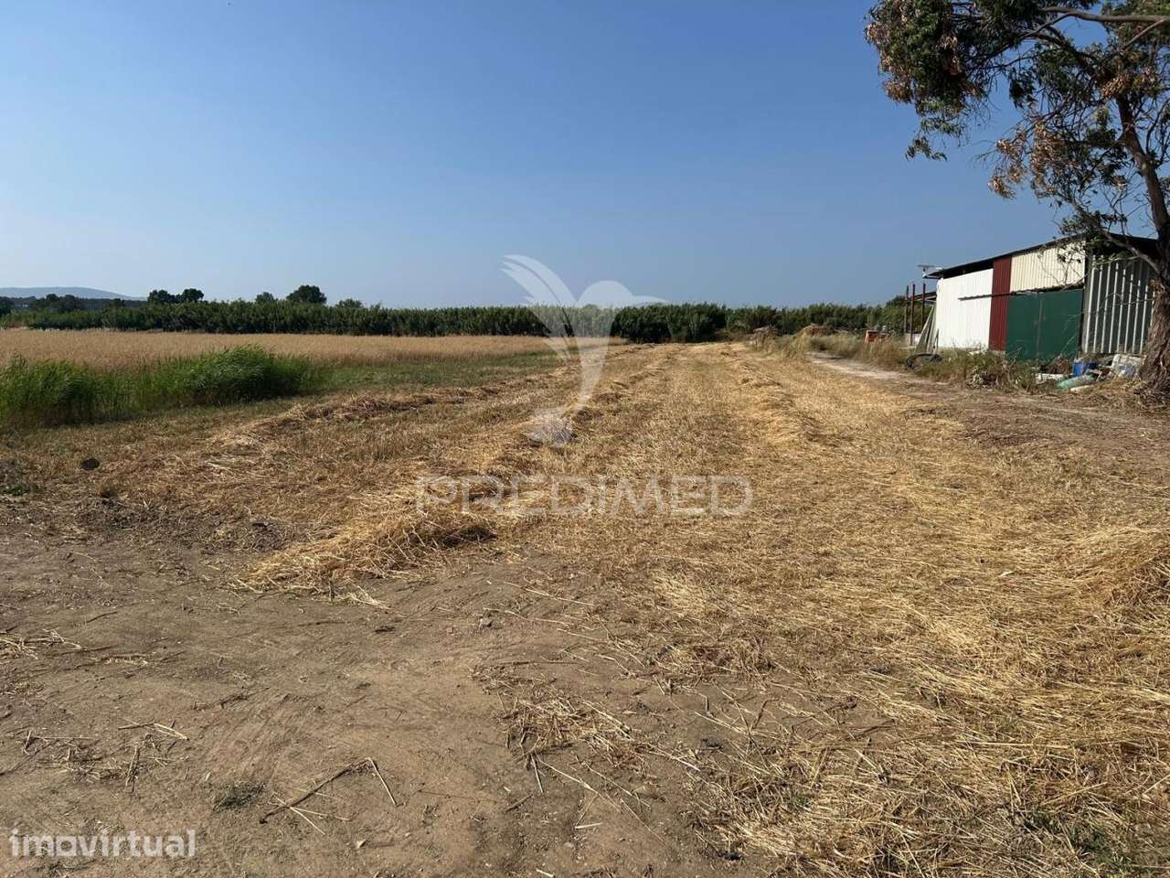 Terreno rústico de 9.200m2 no Carregado - Grande imagem: 2/10