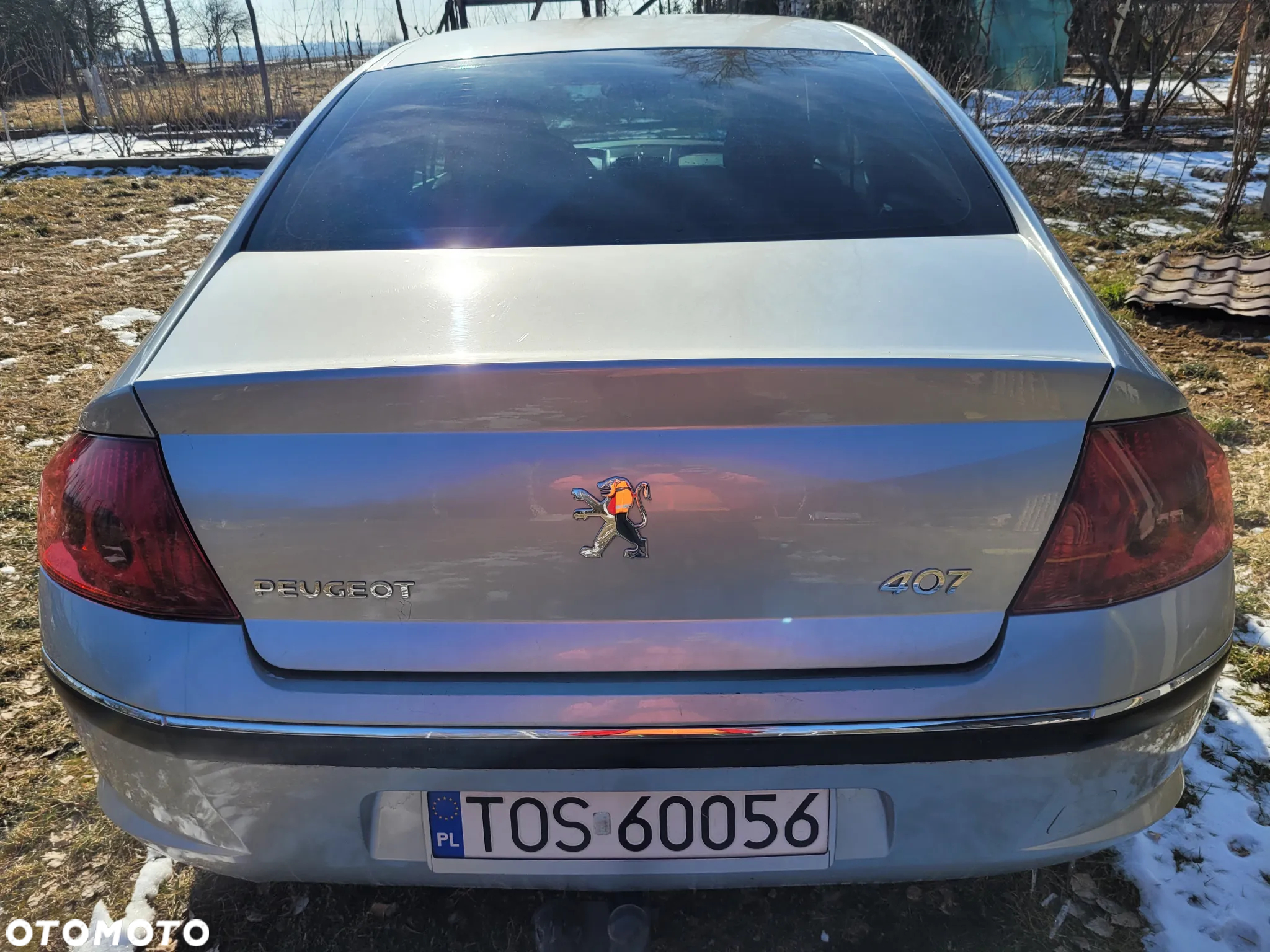 Peugeot 407 - 5