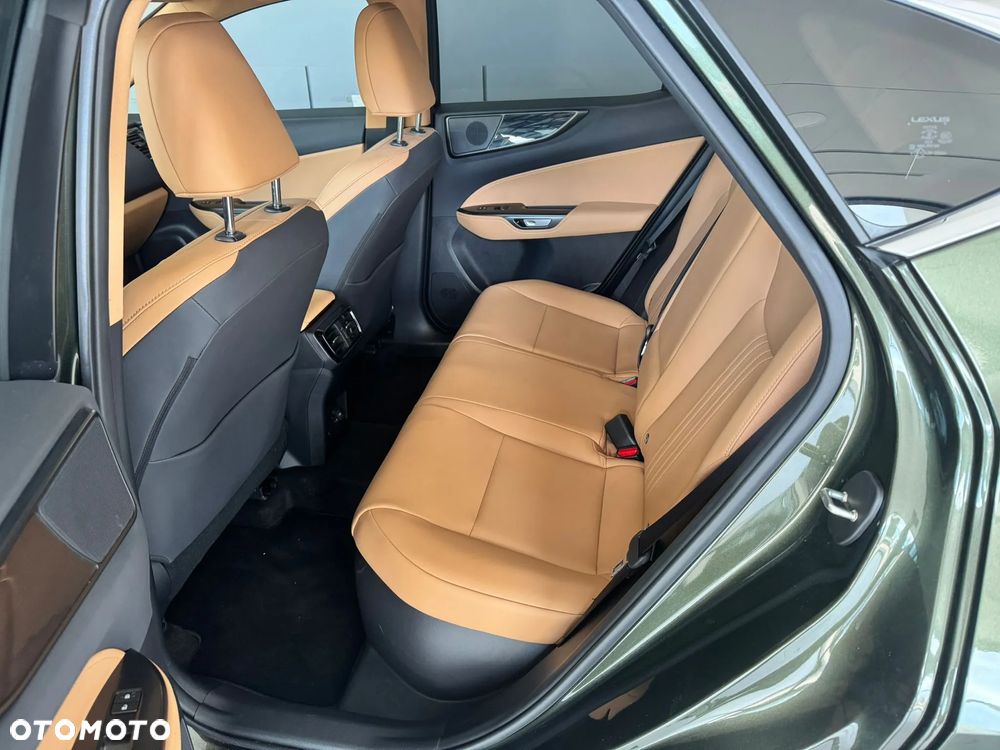 Lexus NX - 15