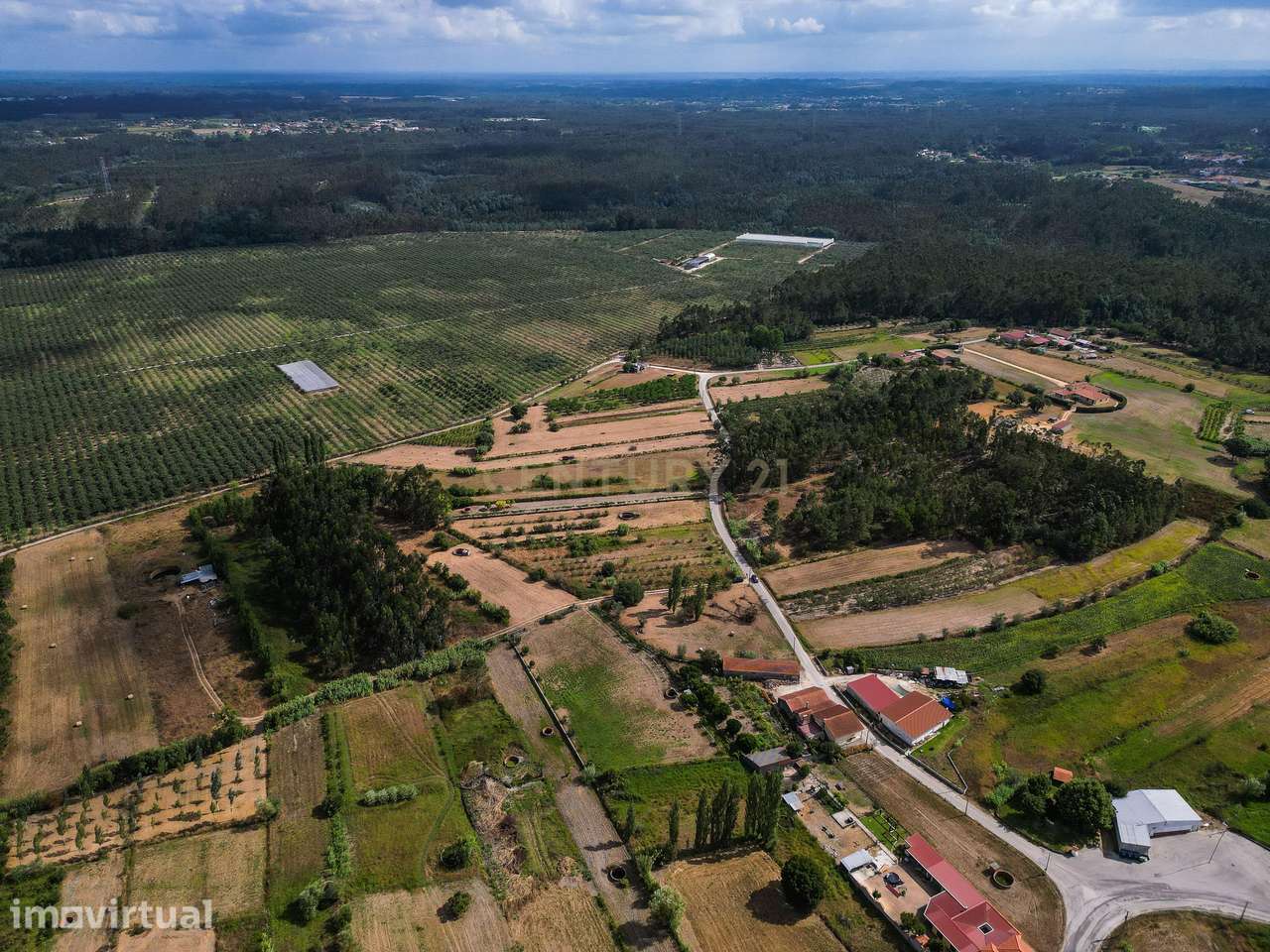 Terreno de cultivo com poço em Cabeça Alta – Seixo de Gatões, Montemor - Grande imagem: 4/17