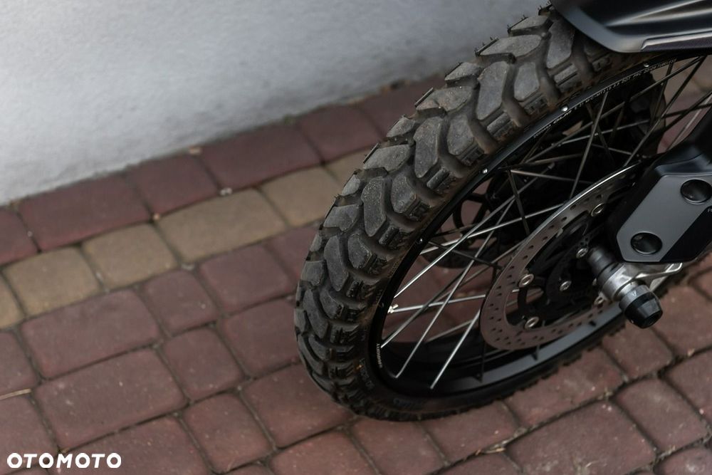 Triumph Tiger - 11