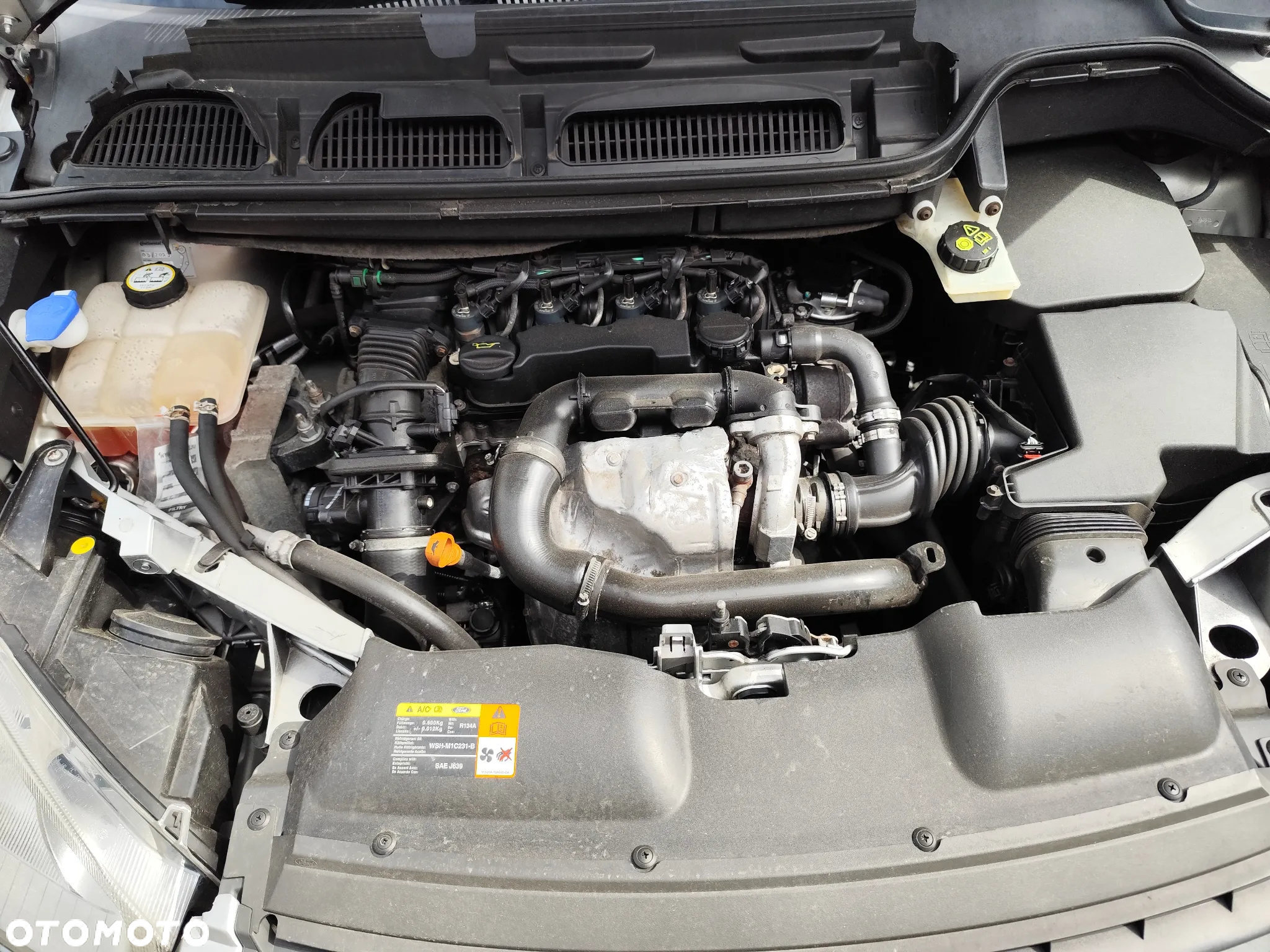 Ford C-MAX 1.6 TDCi Amber X - 6