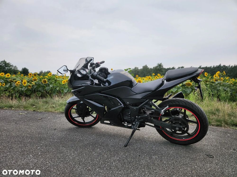 Kawasaki Ninja 250R - 5