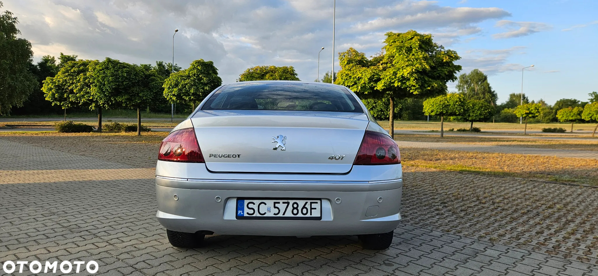 Peugeot 407 2.0 HDi Premium - 4