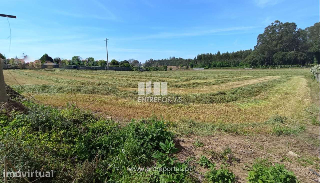Venda de Terreno com 15 000 m2, Vilar, Vila do Conde - Grande imagem: 3/11