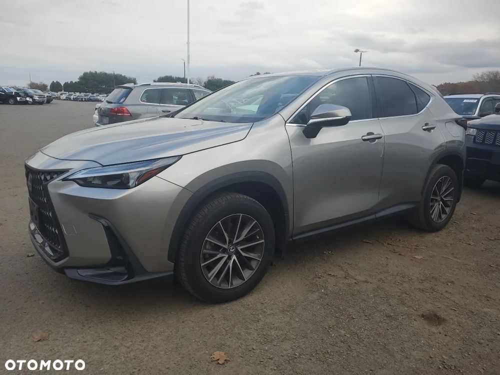 Lexus NX 300 AWD Luxury Line - 2