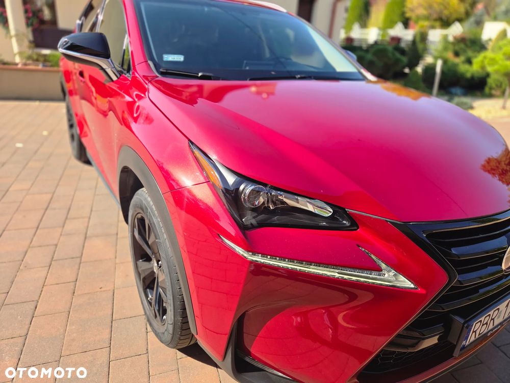 Lexus NX 300h Elite AWD - 8