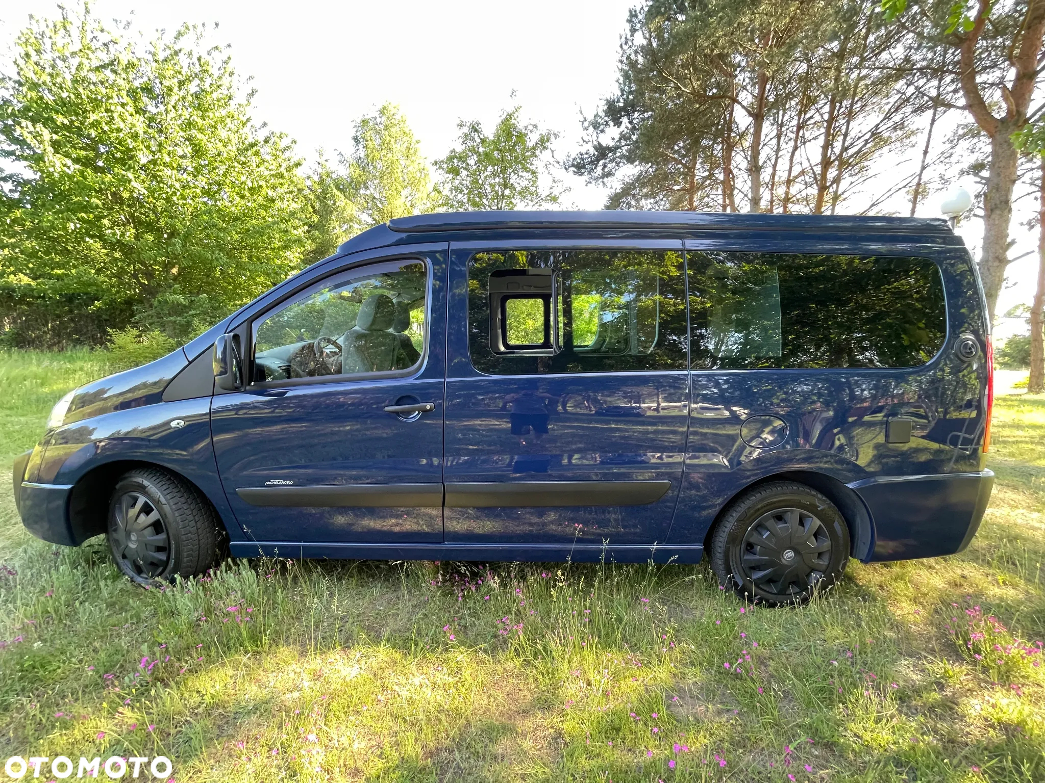 Westfalia MichelAngelo - 33