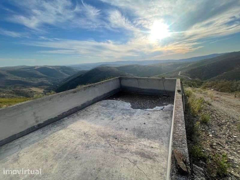 Terreno com oliveiras em Moncorvo - Grande imagem: 5/8