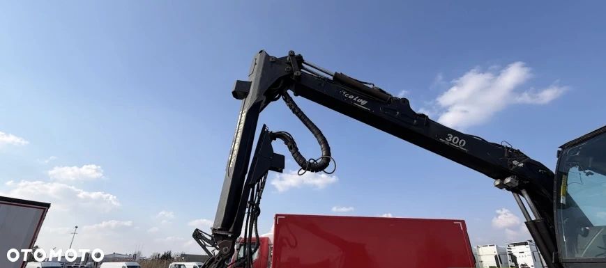 Inny Harwester Ecolog 590D / żuraw 11 m / głowica ścinkowa - 3