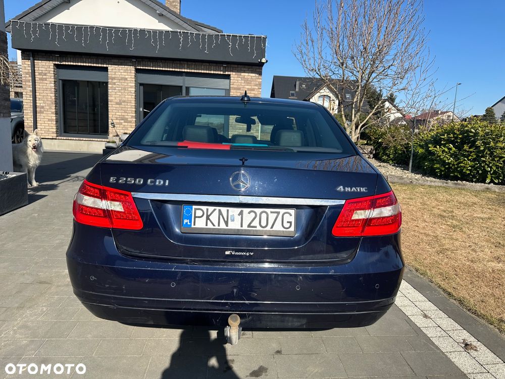 Mercedes-Benz Klasa E 250 BlueTEC 4Matic 7G-TRONIC - 6
