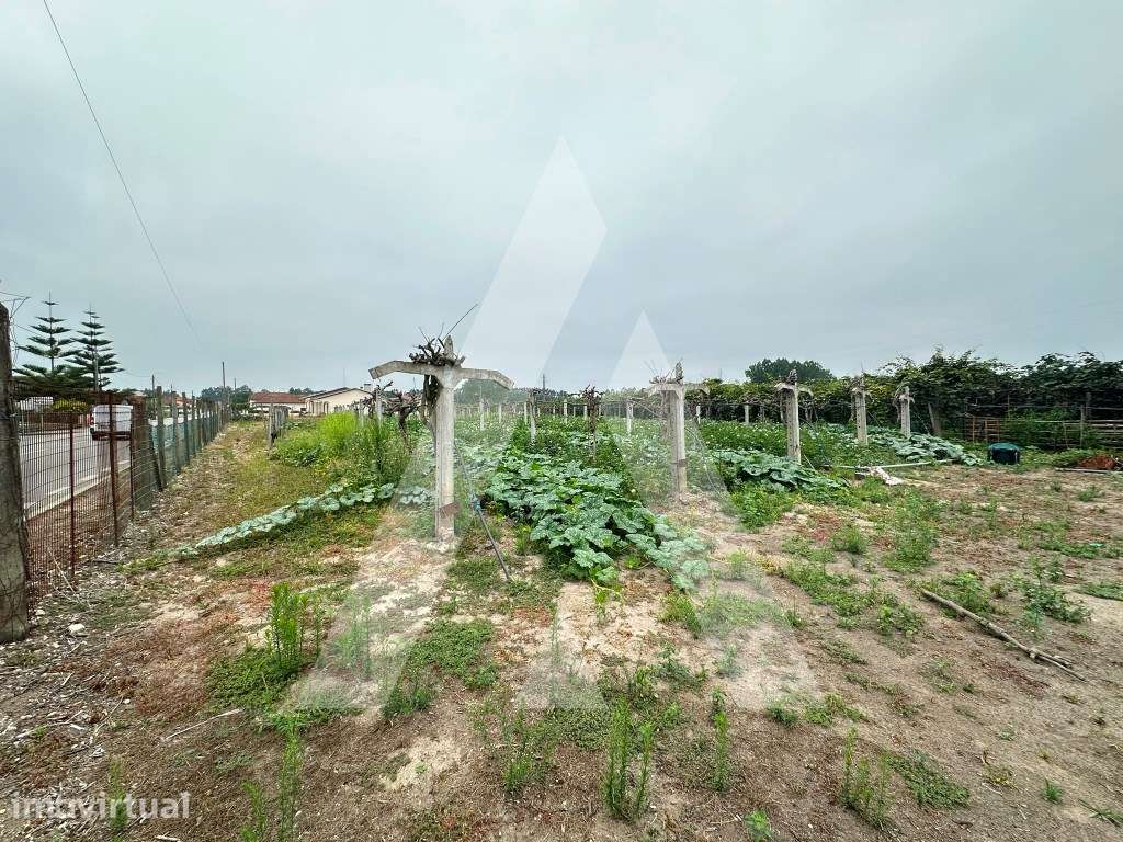 Terreno em Covões - Grande imagem: 5/7