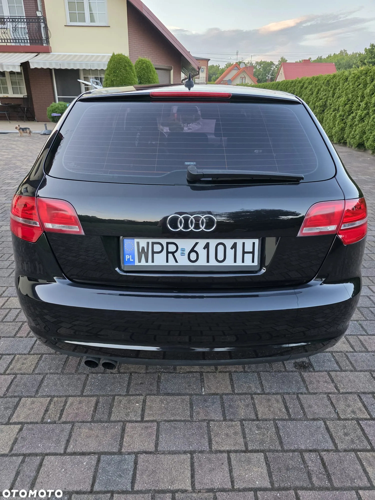 Audi A3 2.0 TDI Sportback DPF Attraction - 2