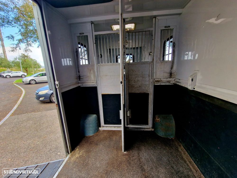 Renault MASTER - TRANSPORTE CAVALOS - 15