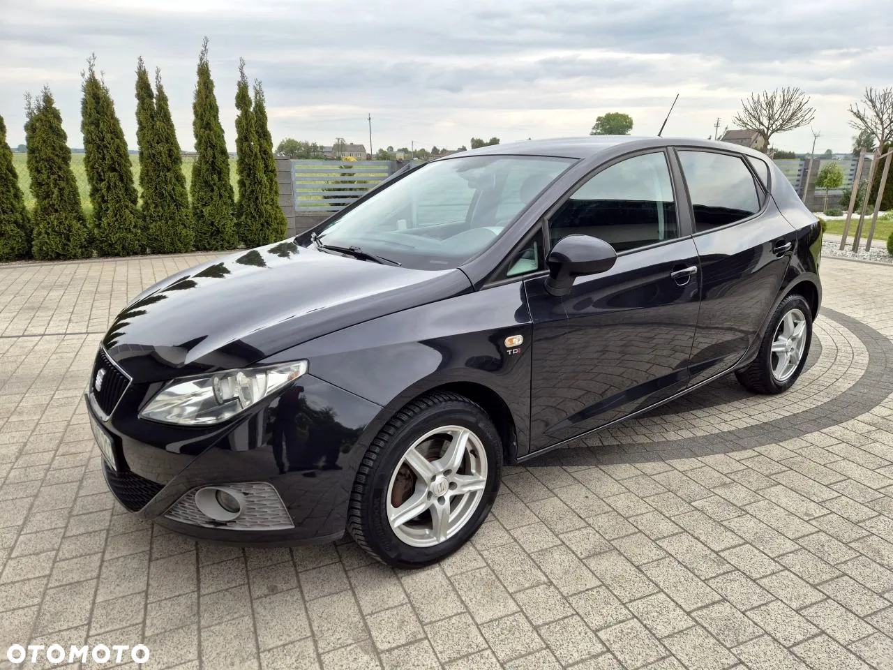 Seat Ibiza - 12