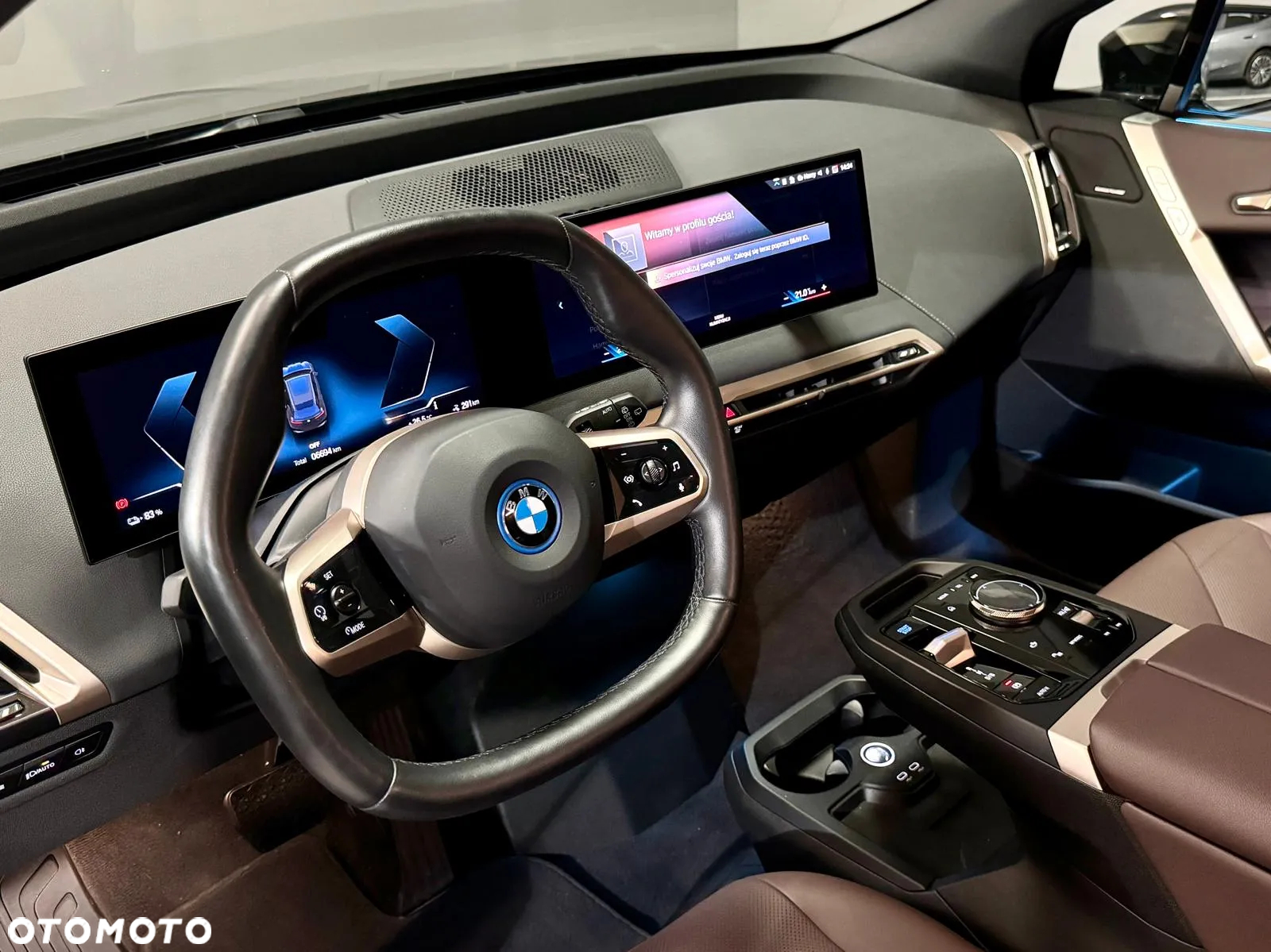 BMW iX xDrive40 76.6kWh - 14