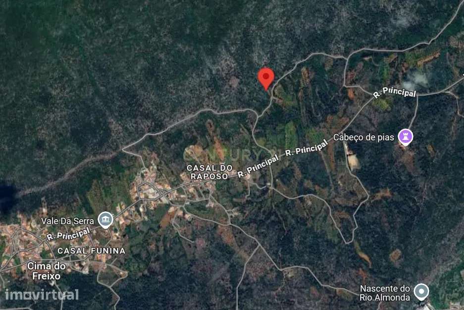 Terreno Rústico – Serra de Aire - Grande imagem: 5/7