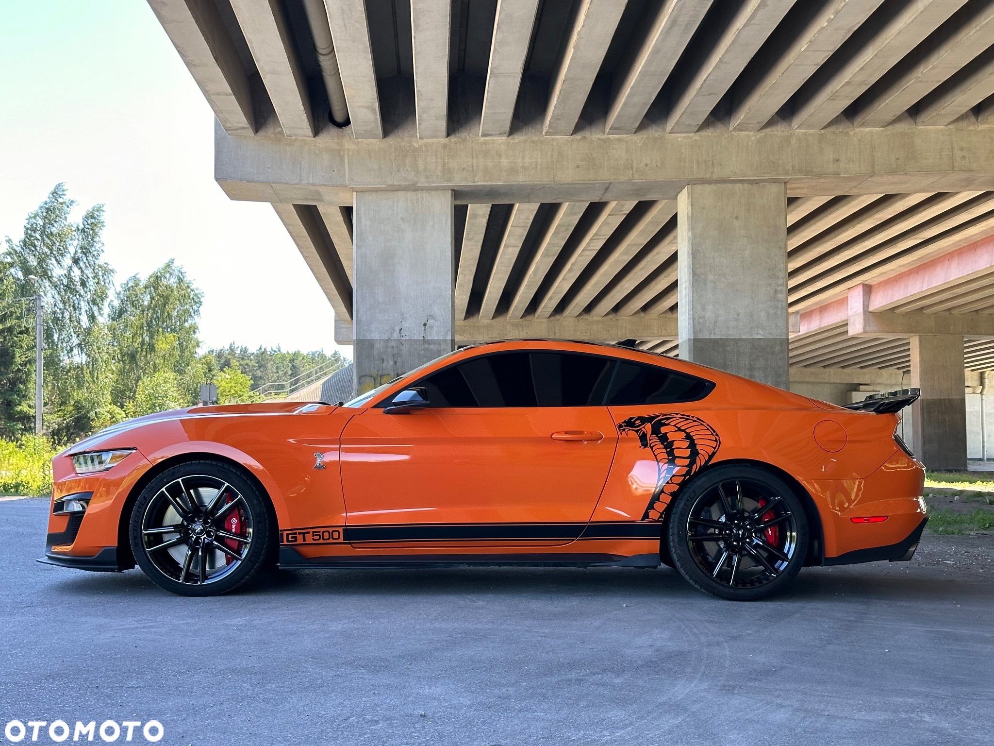 Ford Mustang - 8
