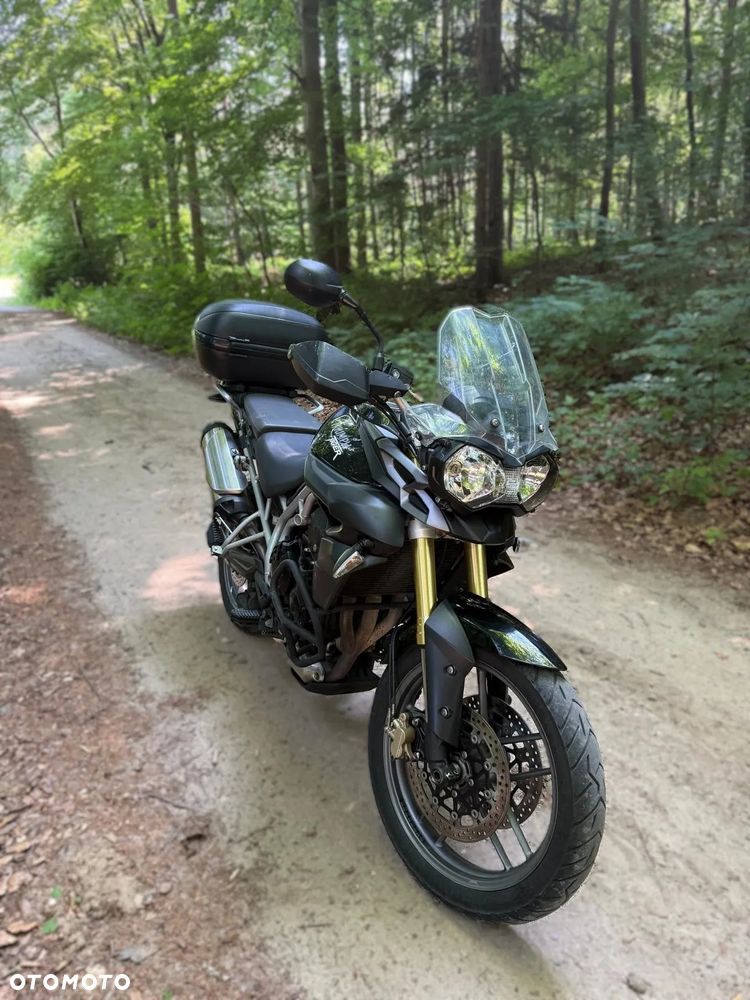 Triumph Tiger - 4
