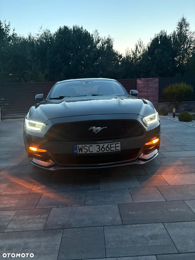 Ford Mustang 3.7 V6 - 11