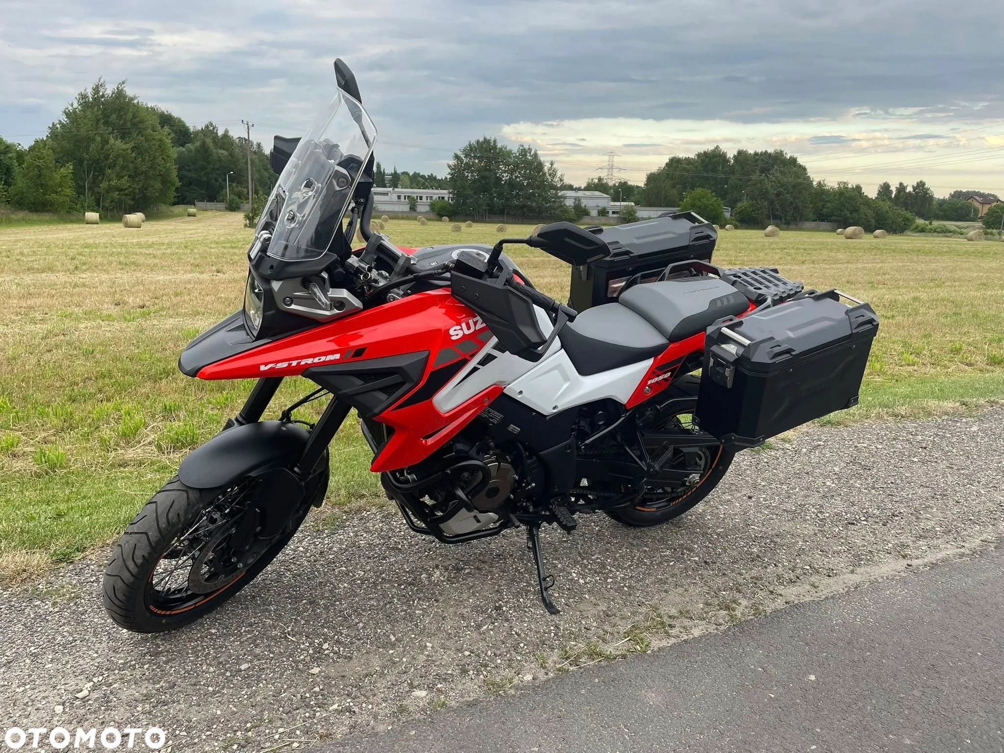 Suzuki DL