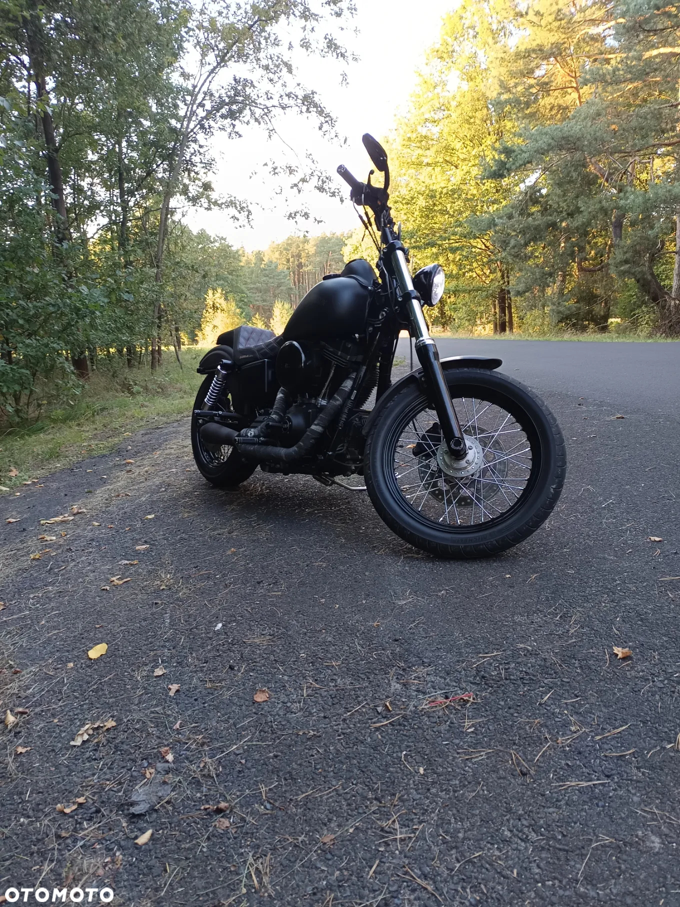 Harley-Davidson Dyna Street Bob - 6