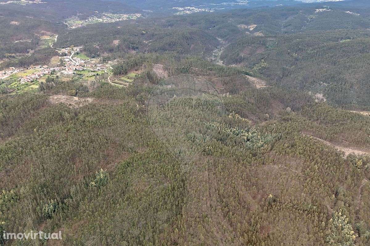 Terreno  para venda - Grande imagem: 5/10