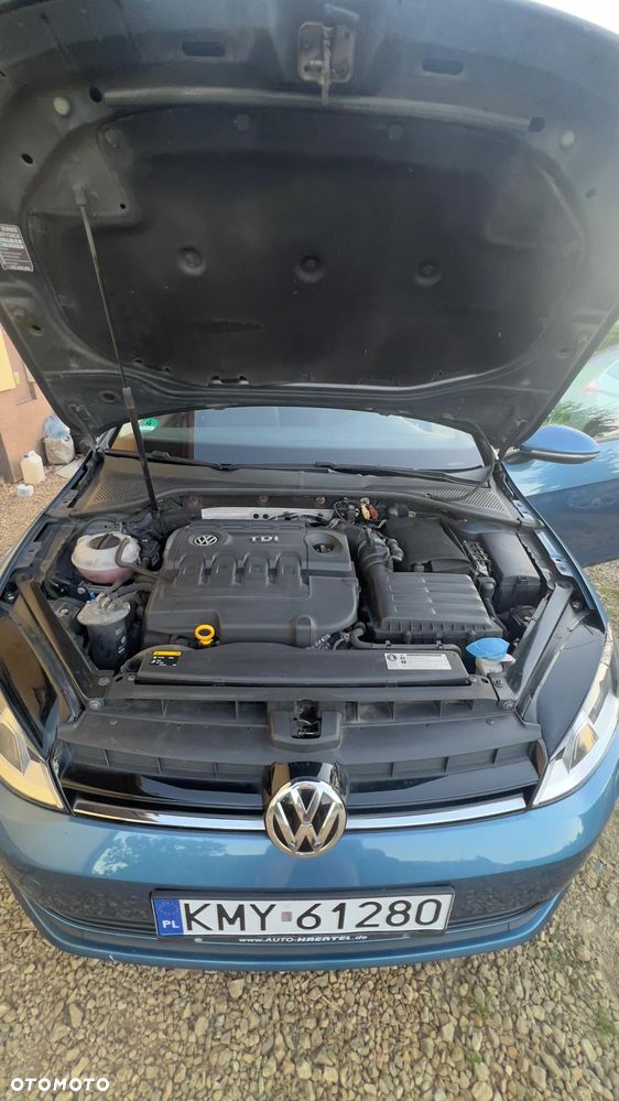 Volkswagen Golf - 24