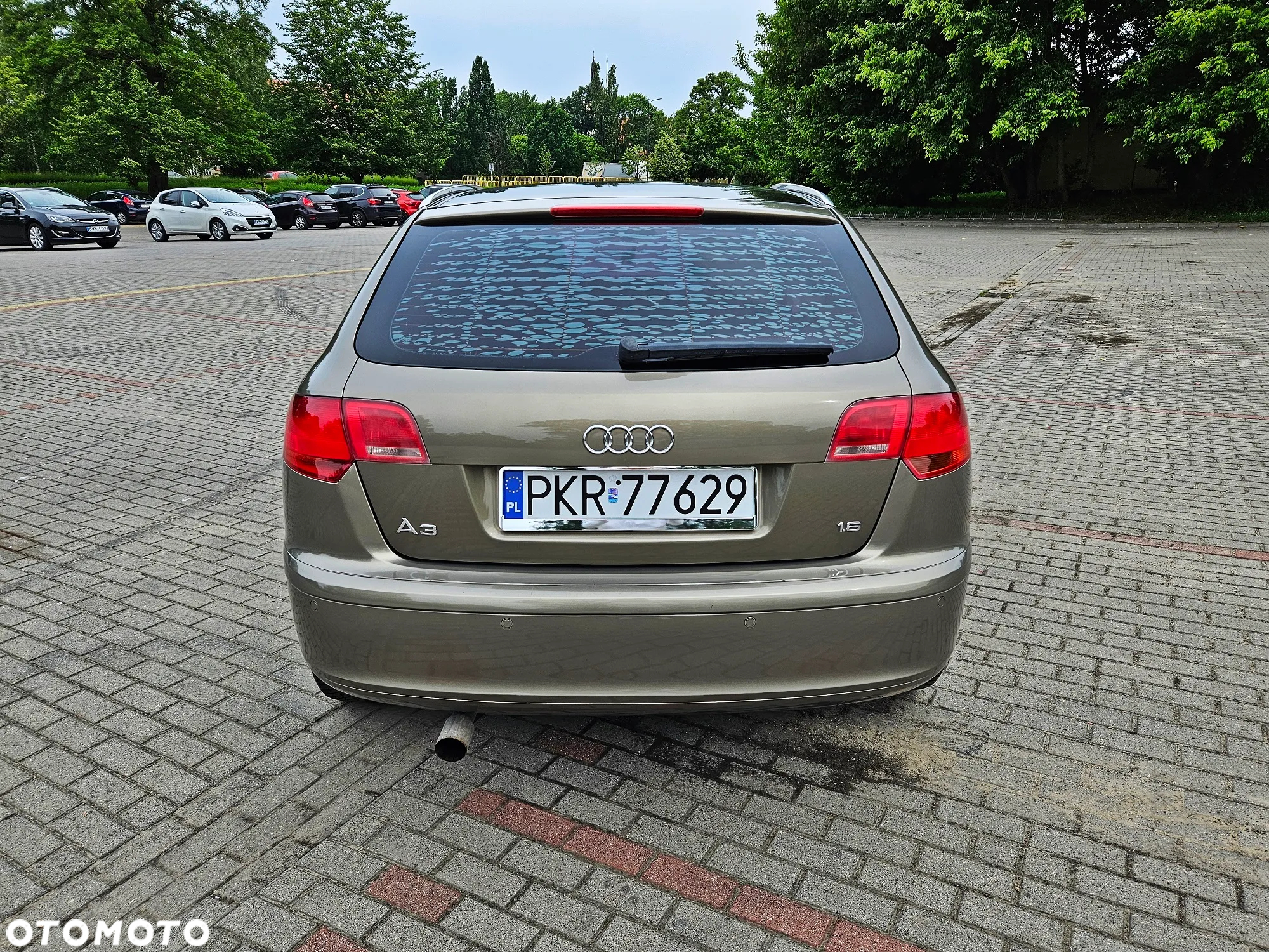 Audi A3 1.6 Sportback S tronic S line Sportpaket (plus) - 24
