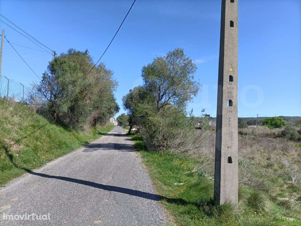 Lote industrial 13 800 m2 em Sabugo - Grande imagem: 2/5