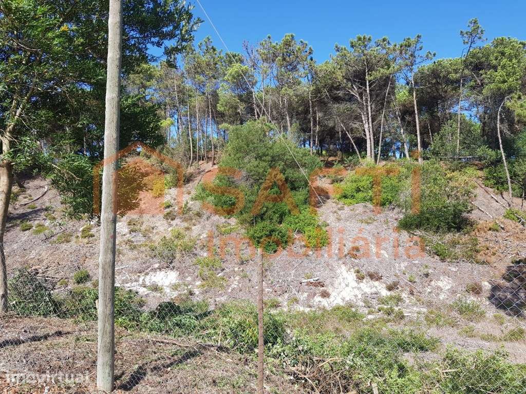 Terreno urbano - Grande imagem: 3/14