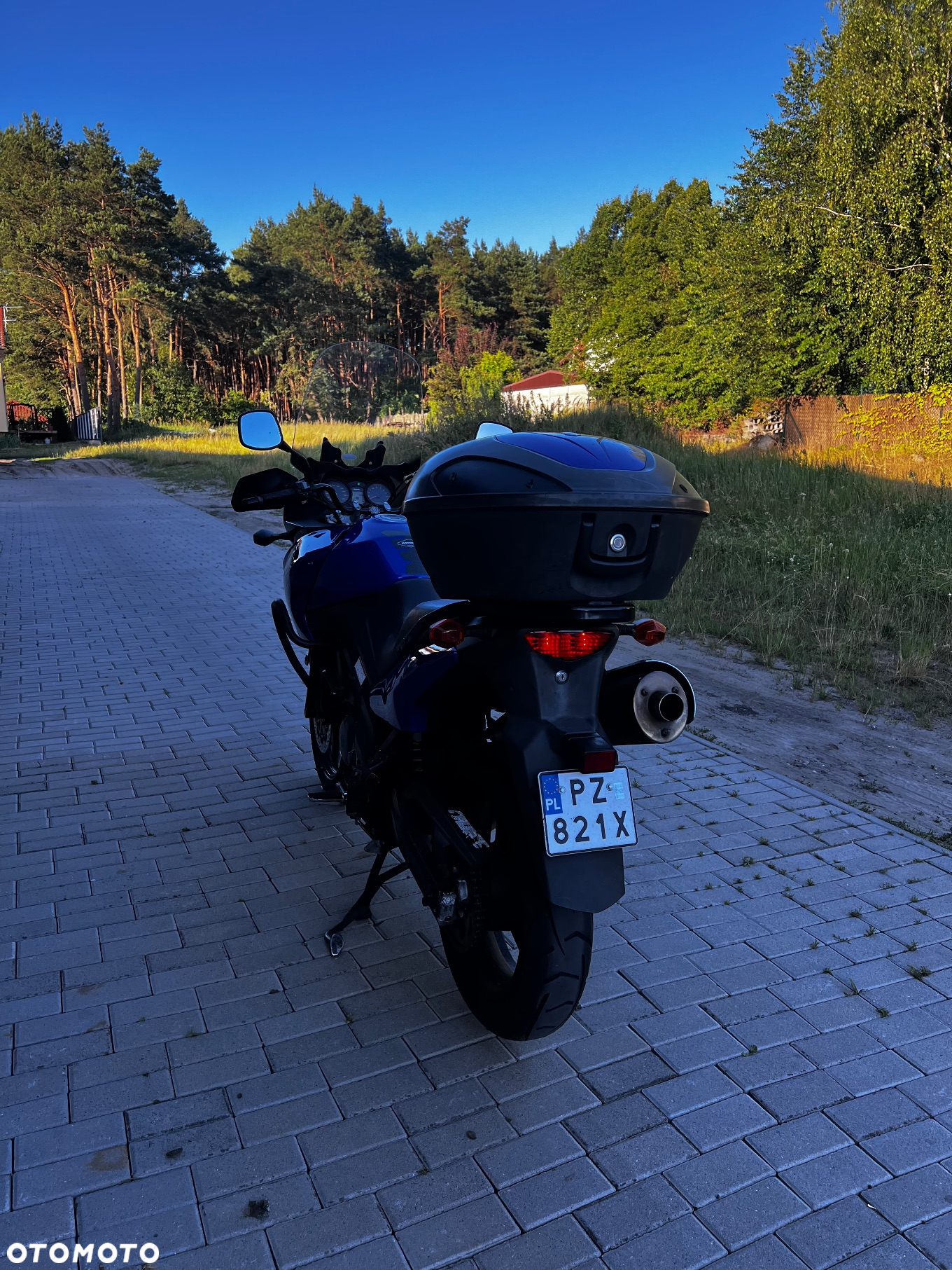 Suzuki DL - 6