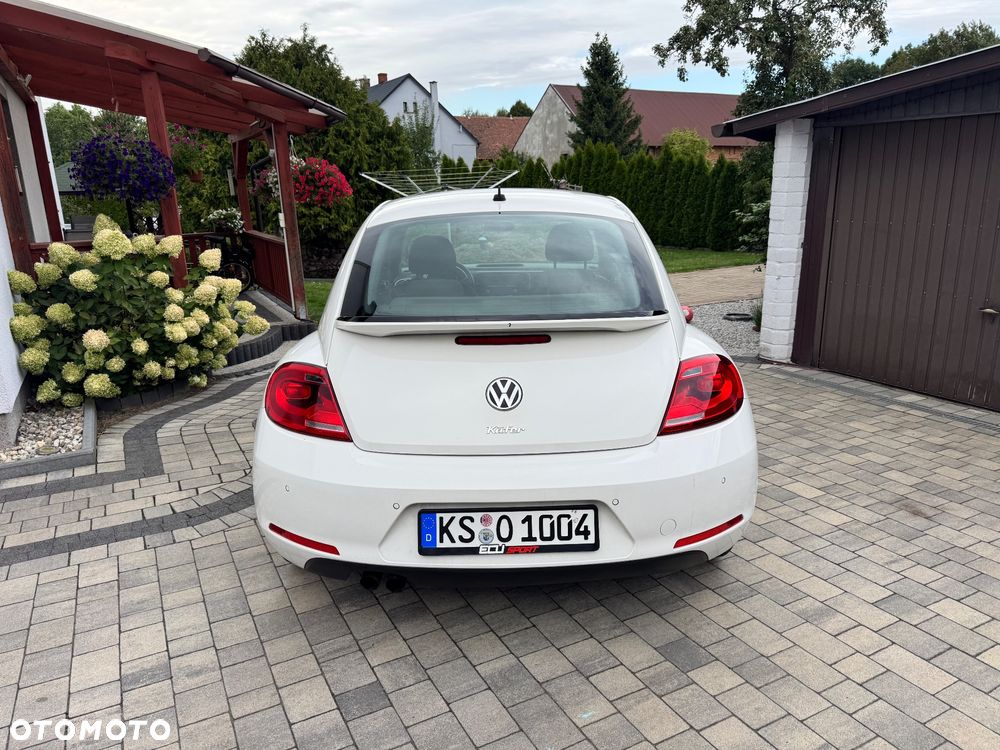 Volkswagen Beetle - 4