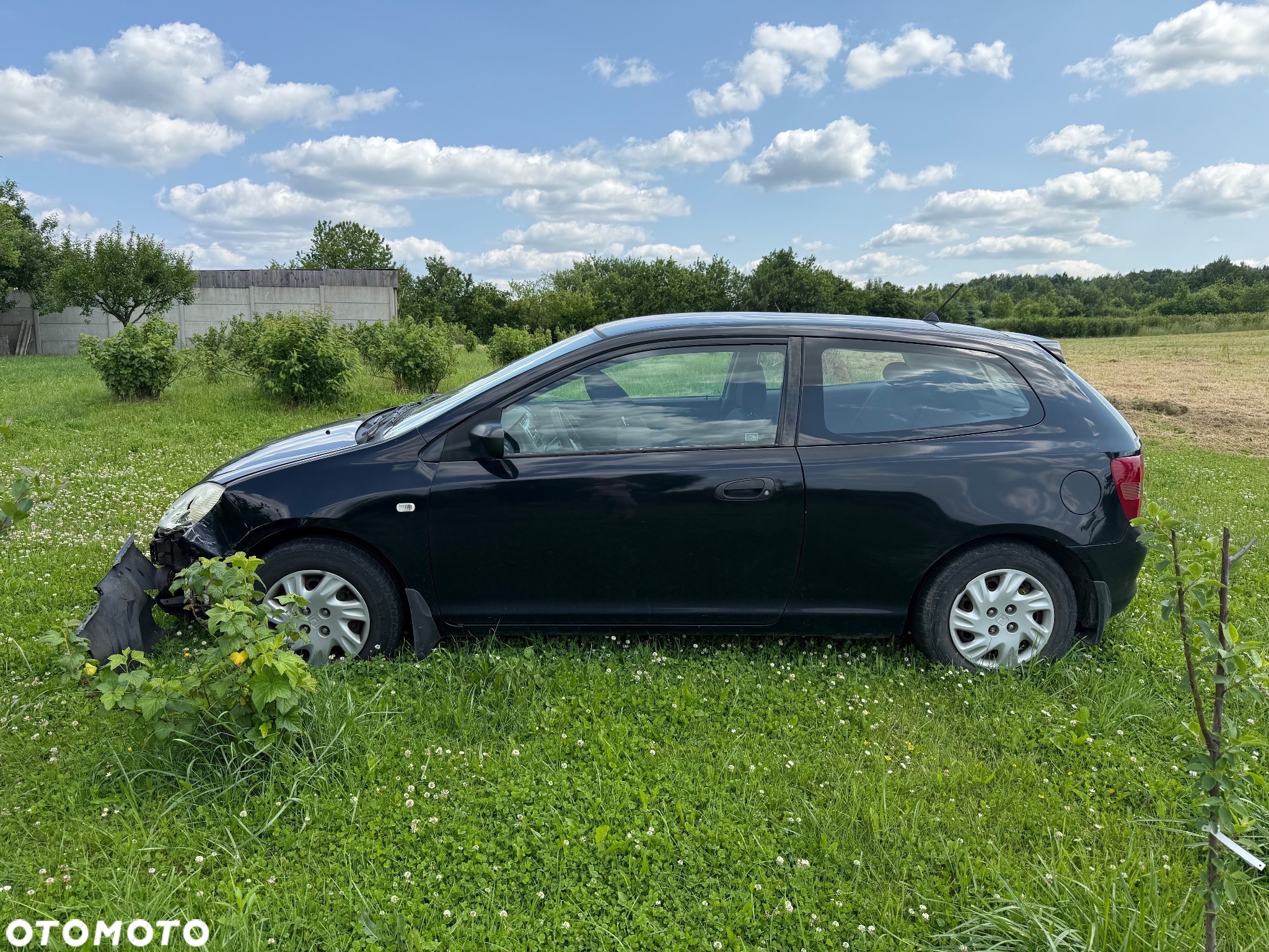 Honda Civic - 3