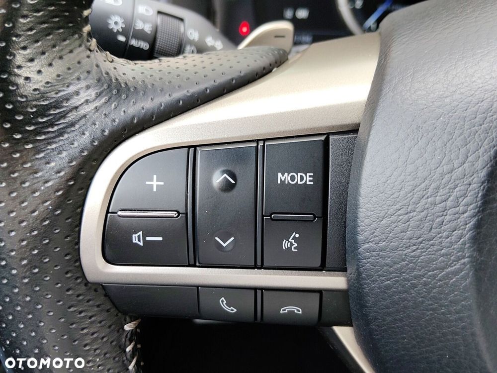 Lexus RX 450h F Sport Edition - 18