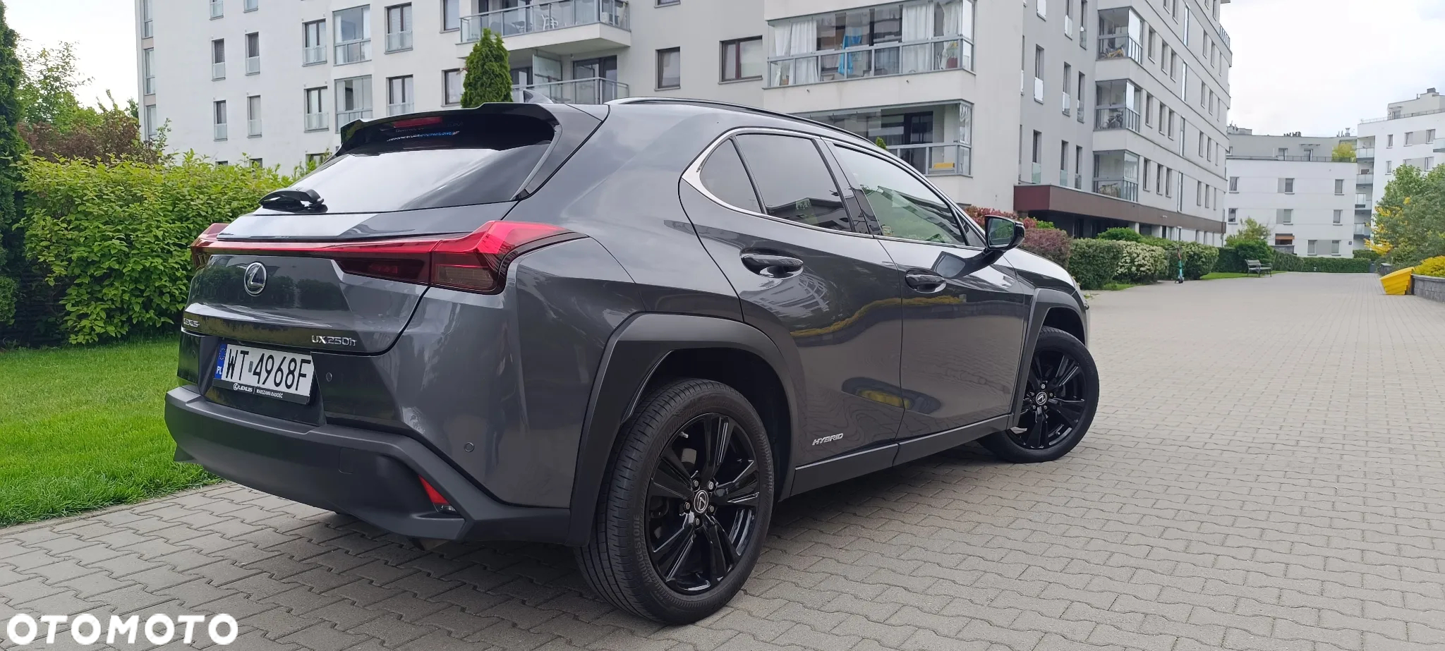 Lexus UX 250h GPF F Impression 2WD - 5