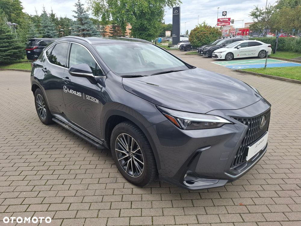 Lexus NX - 7