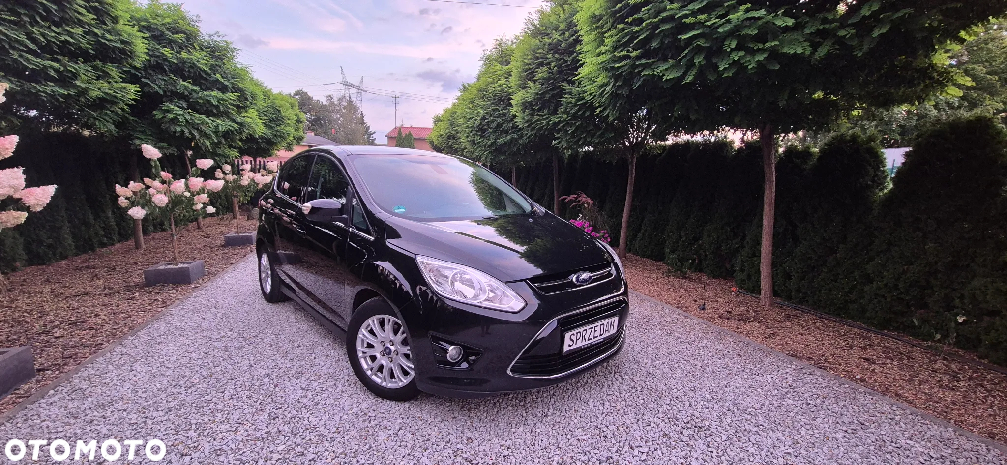 Ford C-MAX 1.6 Titanium - 10