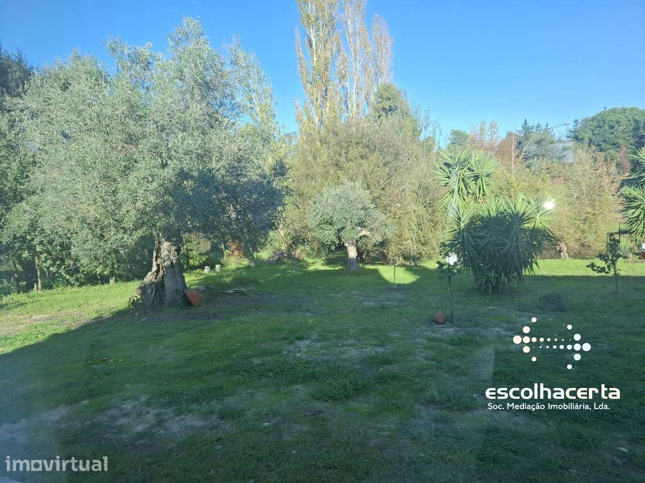 Quinta dos Seus Sonhos Onde a Natureza Fala Mais Alto Palmela -... - Grande imagem: 2/60