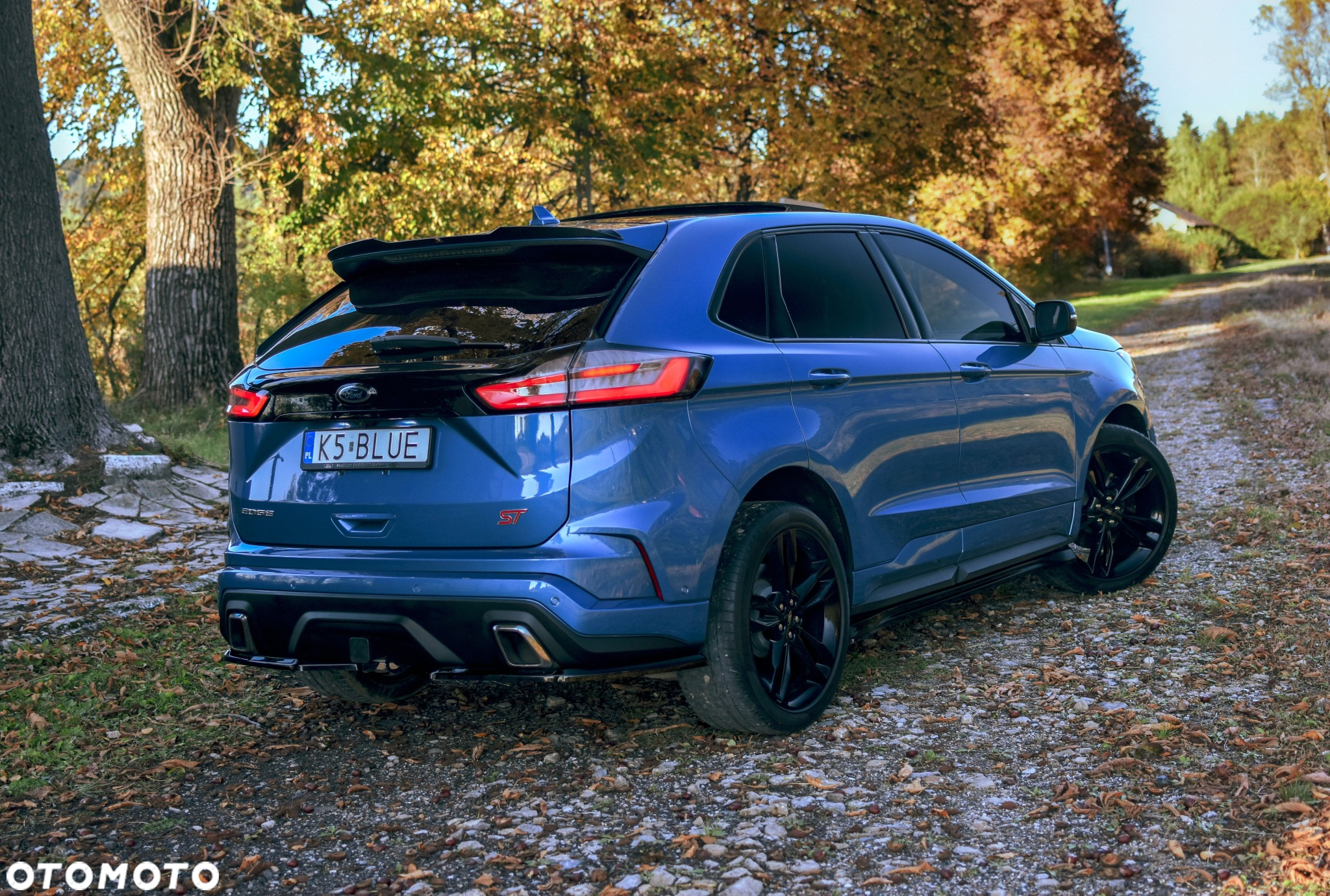 Ford Edge - 15