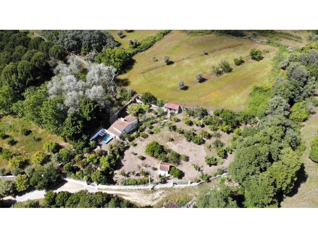 Quinta - Reguengo e São Julião - Um refúgio entre o campo e a serra! - Grande imagem: 3/37