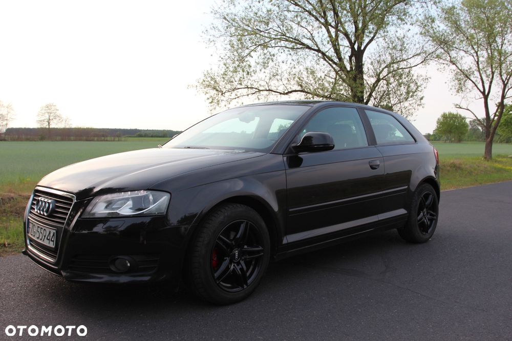 Audi A3 3-drzwiowe 1.9 TDI DPF Ambiente - 8