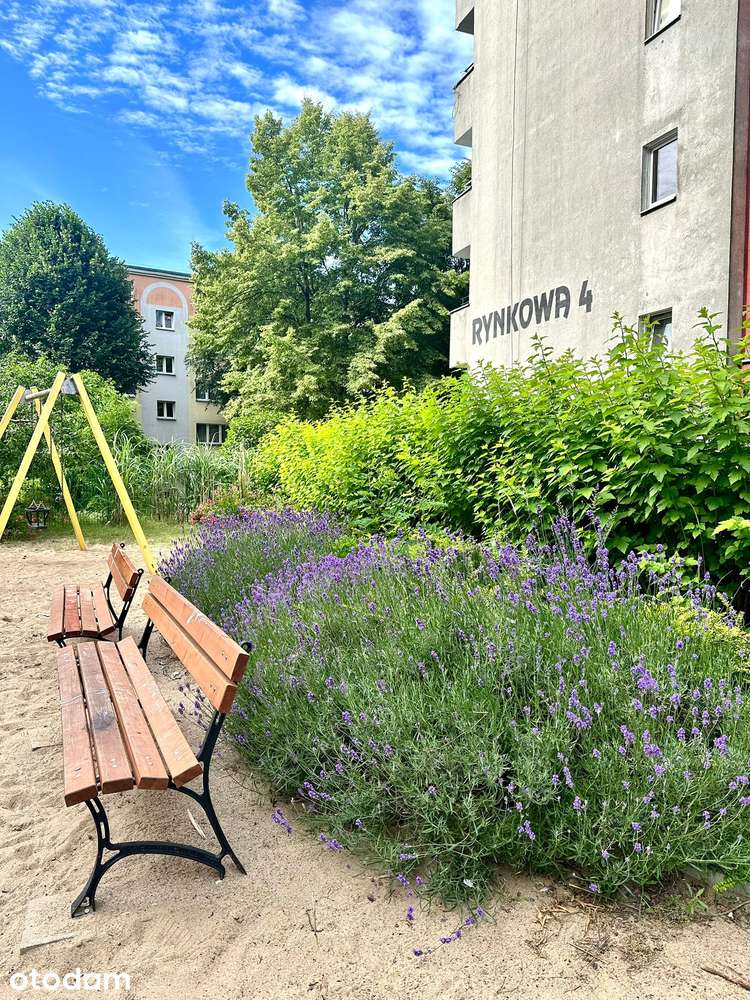 Kawalerka | ul. Rynkowa | parter | piwnica | zieleń za oknem |