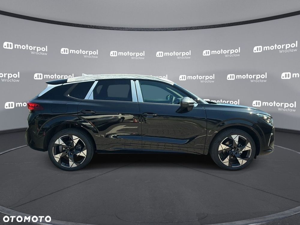 Cupra Terramar - 10
