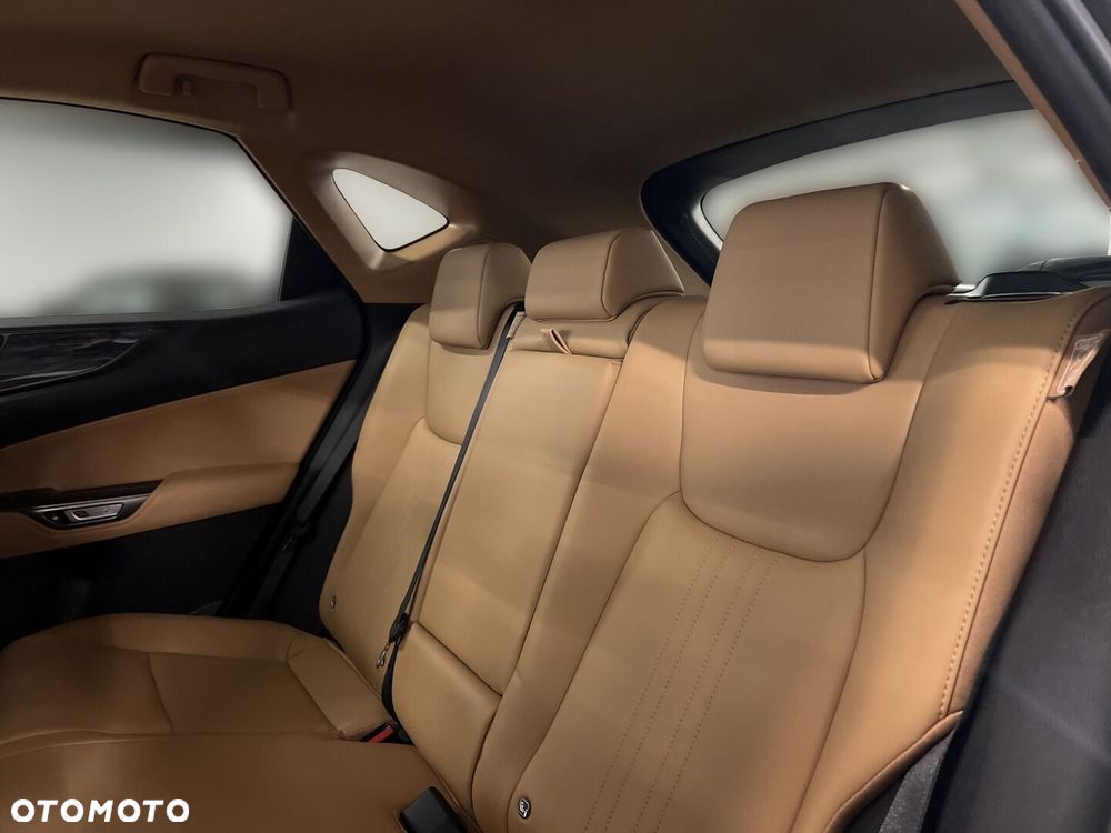 Lexus NX - 13